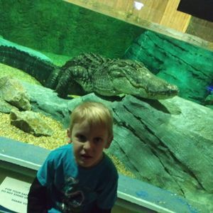 Meet your Posher, Adam